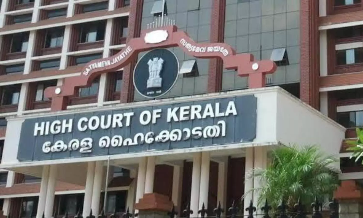 Kerala HC seeks immediate intervention in brutal killing of a Labrador dog