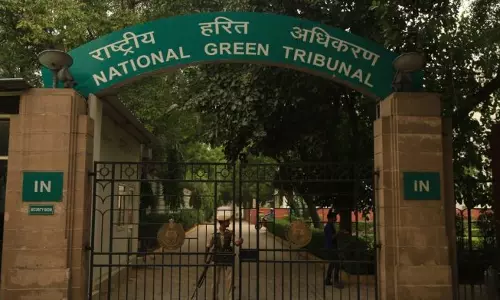 Wont modify order for deregistering diesel vehicles over ten years old: NGT