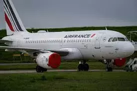 Airlines get ready to resume regular take-offs, Cleans up bugs and bird nests