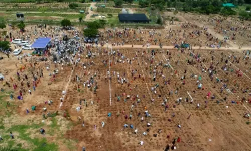 Green India Challenge attempts for world record by planting 1 million saplings in an hour