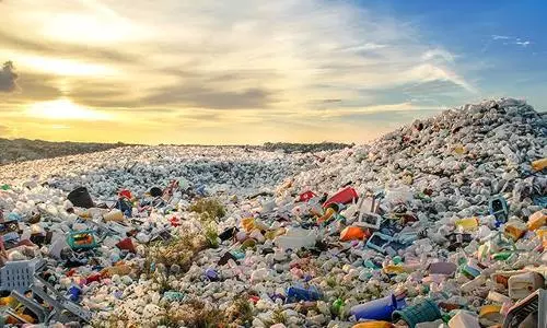 Study warns irreversible environmental impact due to plastic pollution