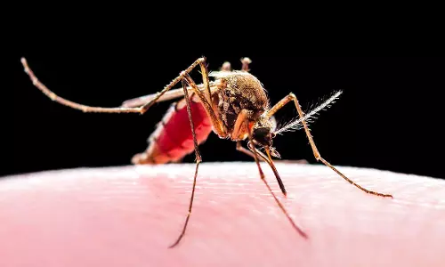 Climate crisis may put 8bn people under malaria, dengue threat: Study