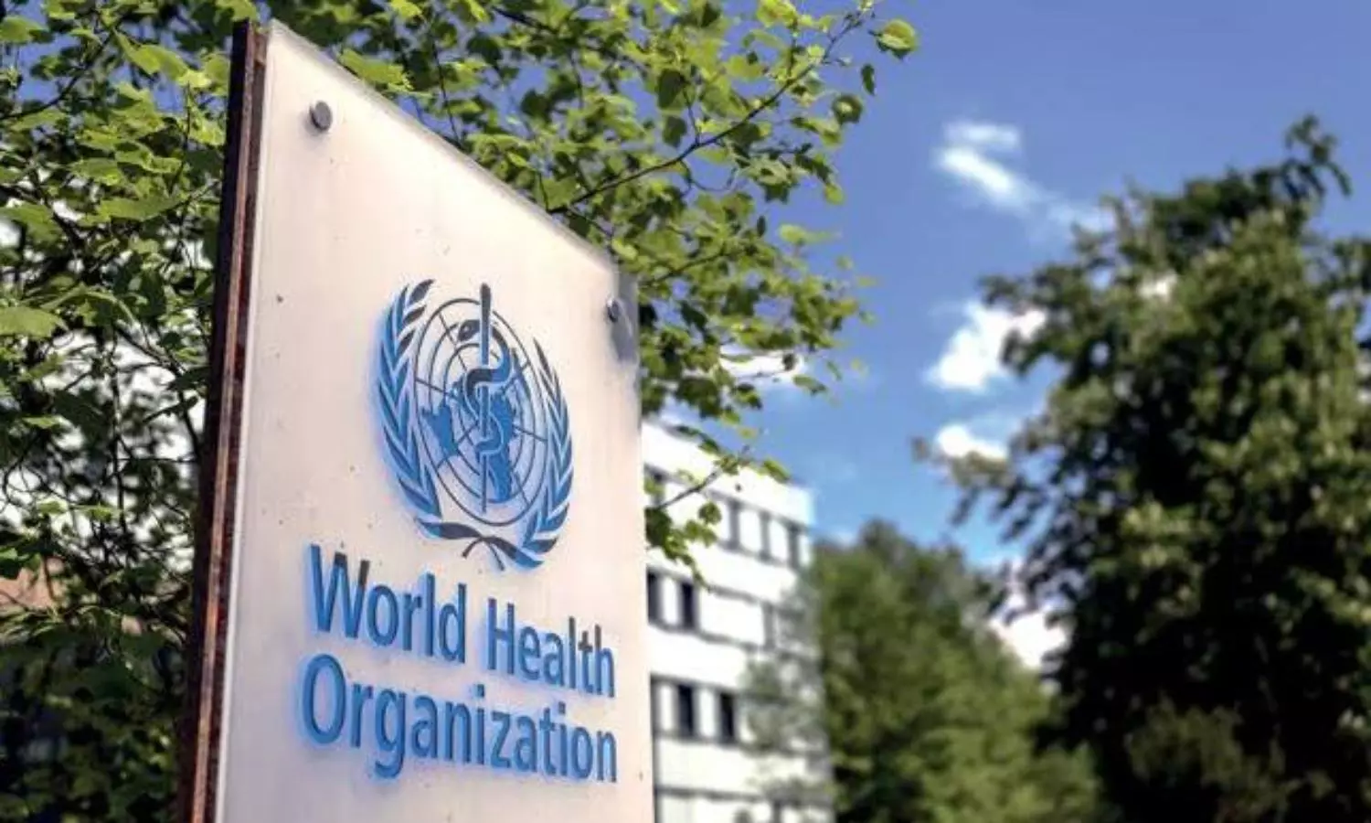 Delta to be the dominant COVID-19 strain globally: WHO