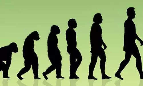 China study sheds light on human brain evolution in use of languages