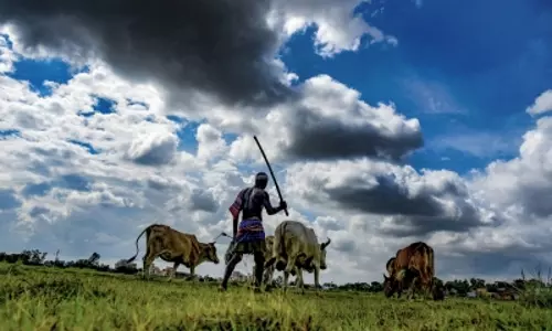 Karnataka to waive loans worth Rs 79.47 crores of farmers who died of Covid