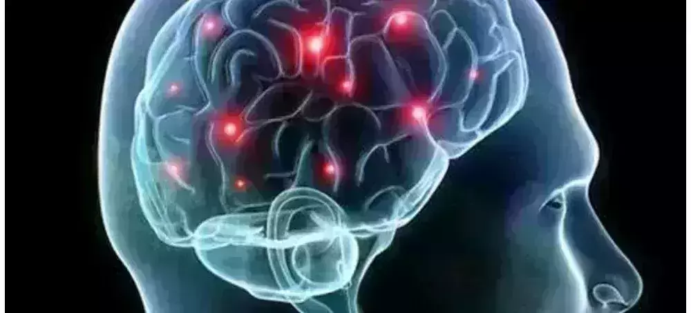 Indian scientist develops human model to study brain disorders like autism