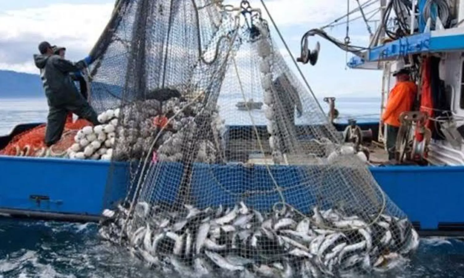 SAARC countries join hands to fight climate crisis in fisheries