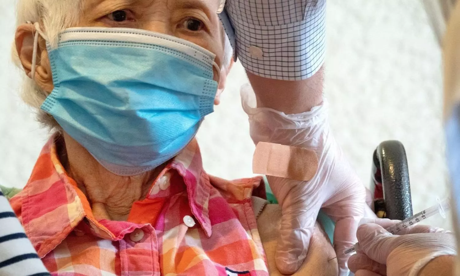 BCG vaccine may prevent risk of COVID infections in older adults: ICMR