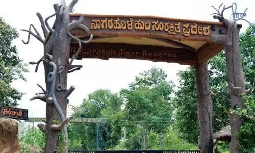 Kodagu residents start online petition to rename Rajiv Gandhi national park