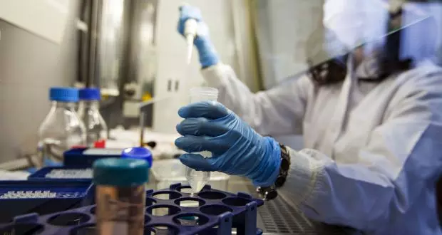 Guinea confirms first Ebola virus-induced Marburg disease: WHO