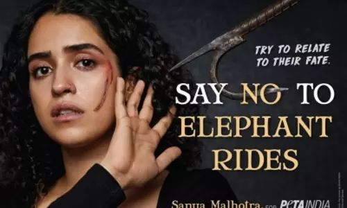 World Elephant Day: Sanya Malhotra joins hands with PETA India to say no to elephant rides