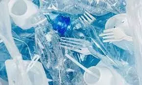 Single use plastic plates, candy sticks, cups to be obsolete from July 2022