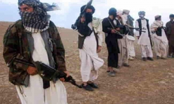 Taliban says talks underway for peaceful surrender of Kabul