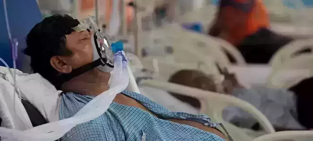 Severe or prolonged Covid patients have highest antibody levels: study