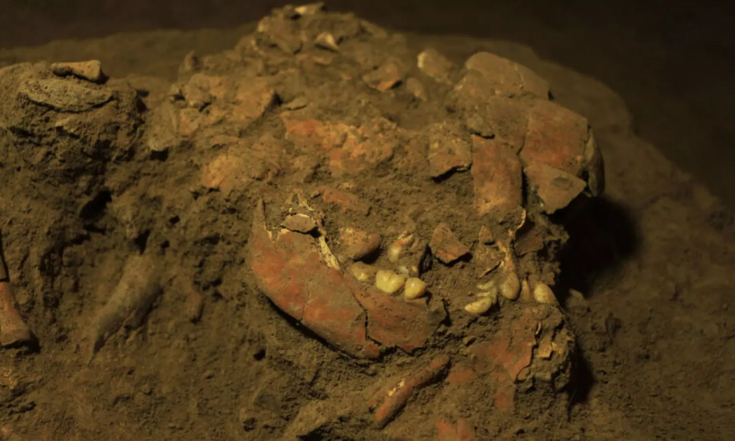 Scientists discover 7,200 years old DNA from womans fossil in Indonesia