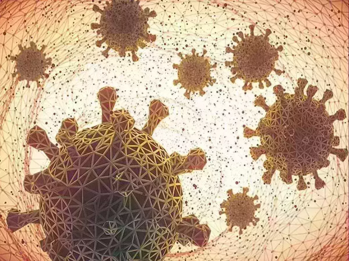 New COVID variant detected in South Africa, most mutated variant so far