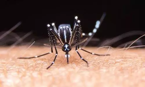 Firozabad CMO transferred as 40 die over suspected dengue outbreak