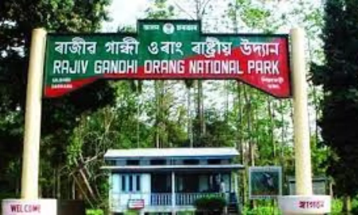BJP Govt in Assam to remove Rajiv Gandhi from national park named after him