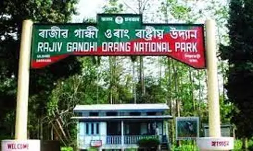 BJP Govt in Assam to remove Rajiv Gandhi from national park named after him