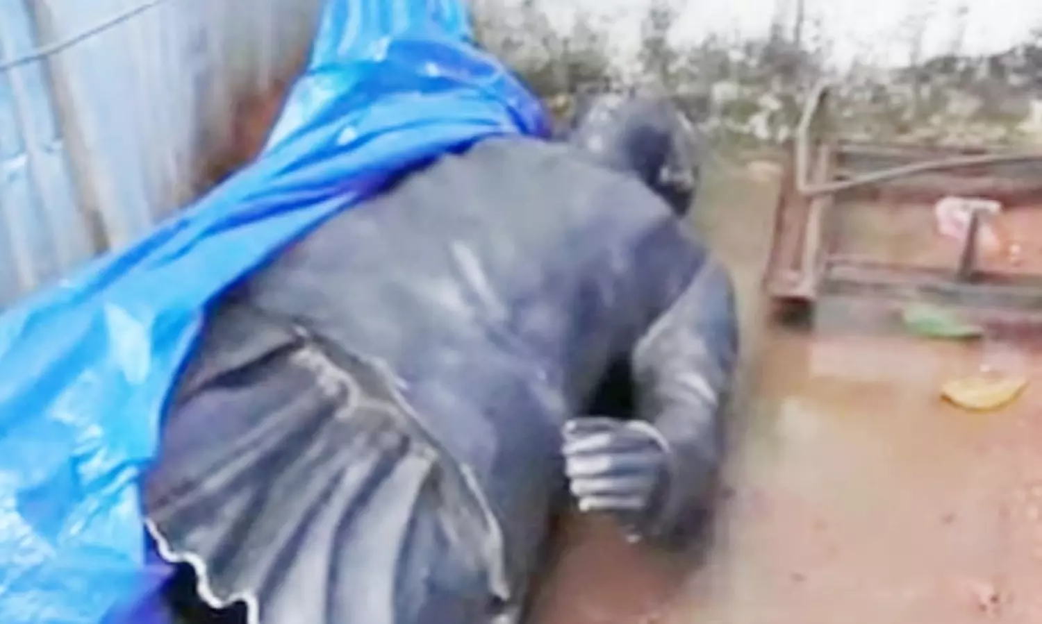 Ram Manohar Lohias statue taken for repairs, in safe custody: Goa govt