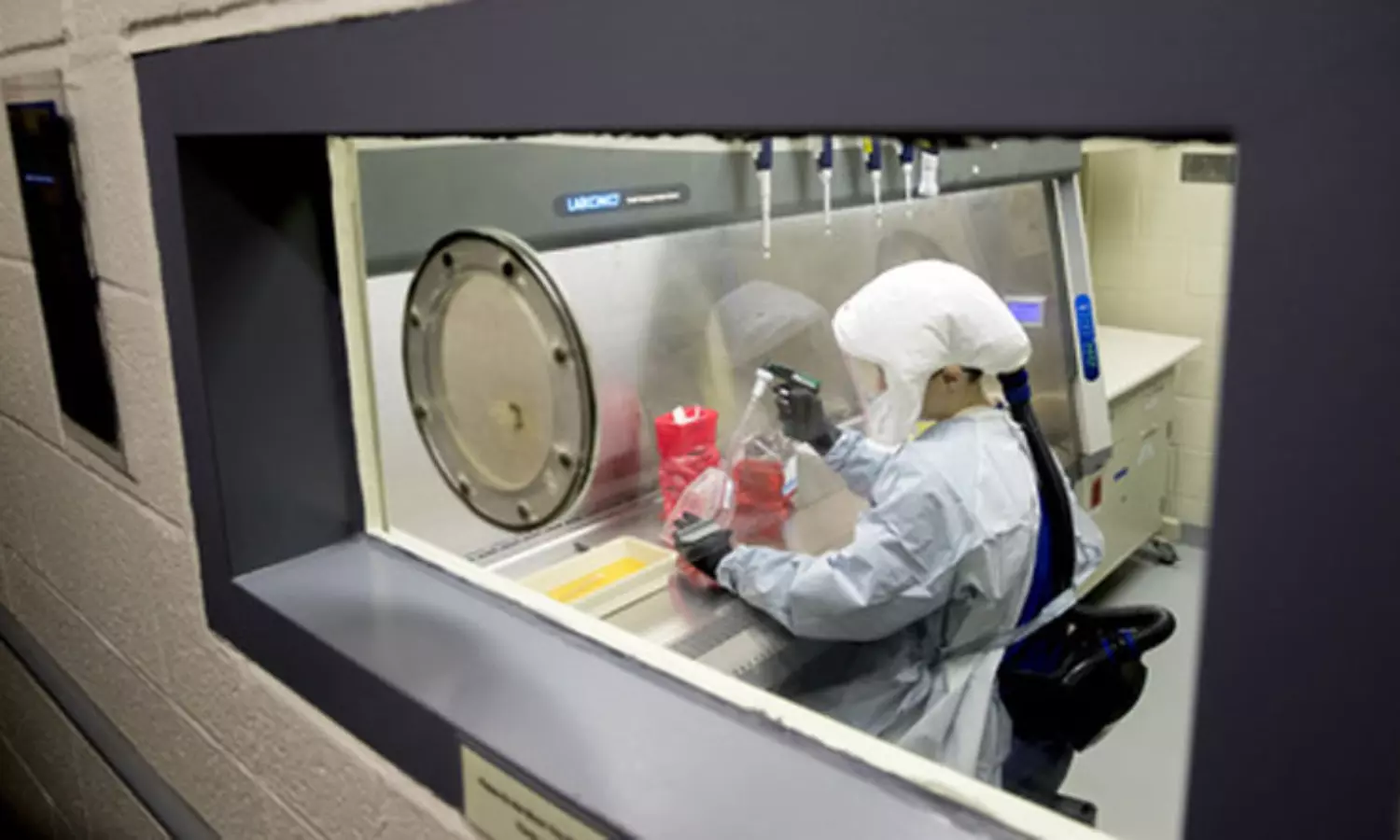 US cash funded Chinas Wuhan lab, claims Sharri Marksons new book