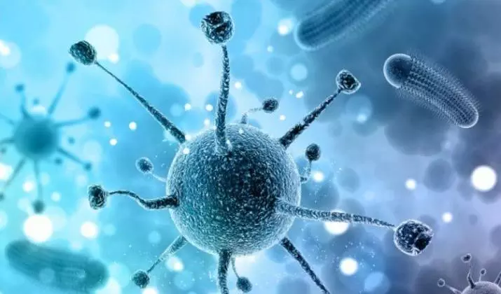 TN enforces strict monitoring at Kerala borders amid Nipah outbreak TN enforces strict monitoring at Kerala borders amid Nipah outbreak