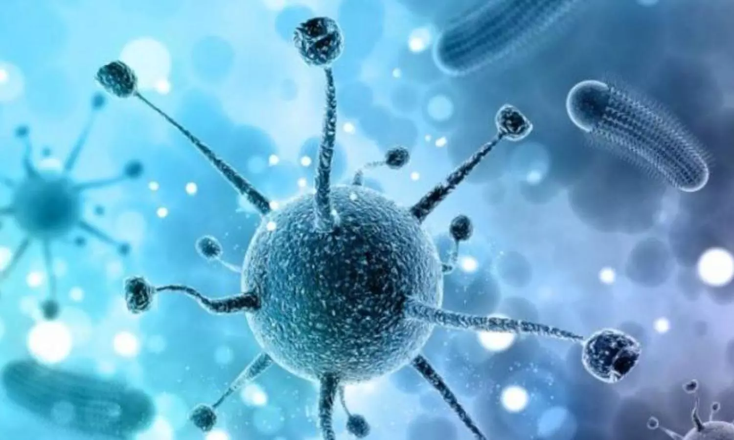 TN enforces strict monitoring at Kerala borders amid Nipah outbreak