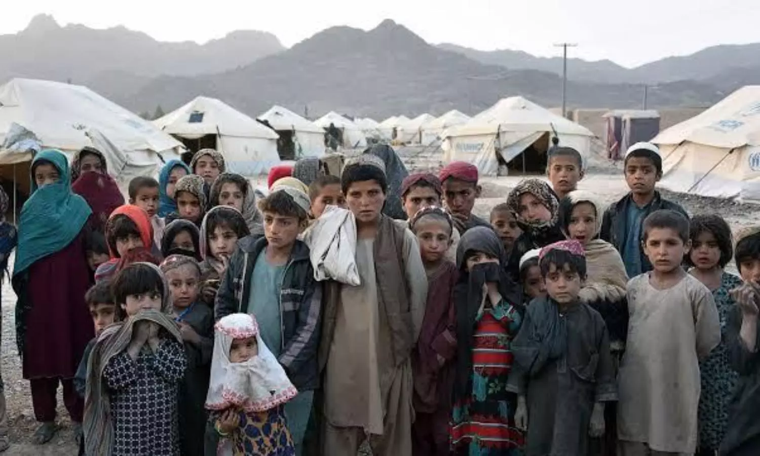 736 Afghans recorded for new registration in India from Aug 1 to Sep 11: UNHCR