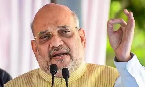 Amit Shah asks Indians to progressively promote  official language Hindi