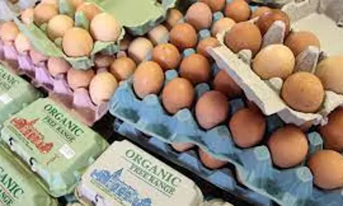 US trade spat with India makes organic eggs dearer for Americans