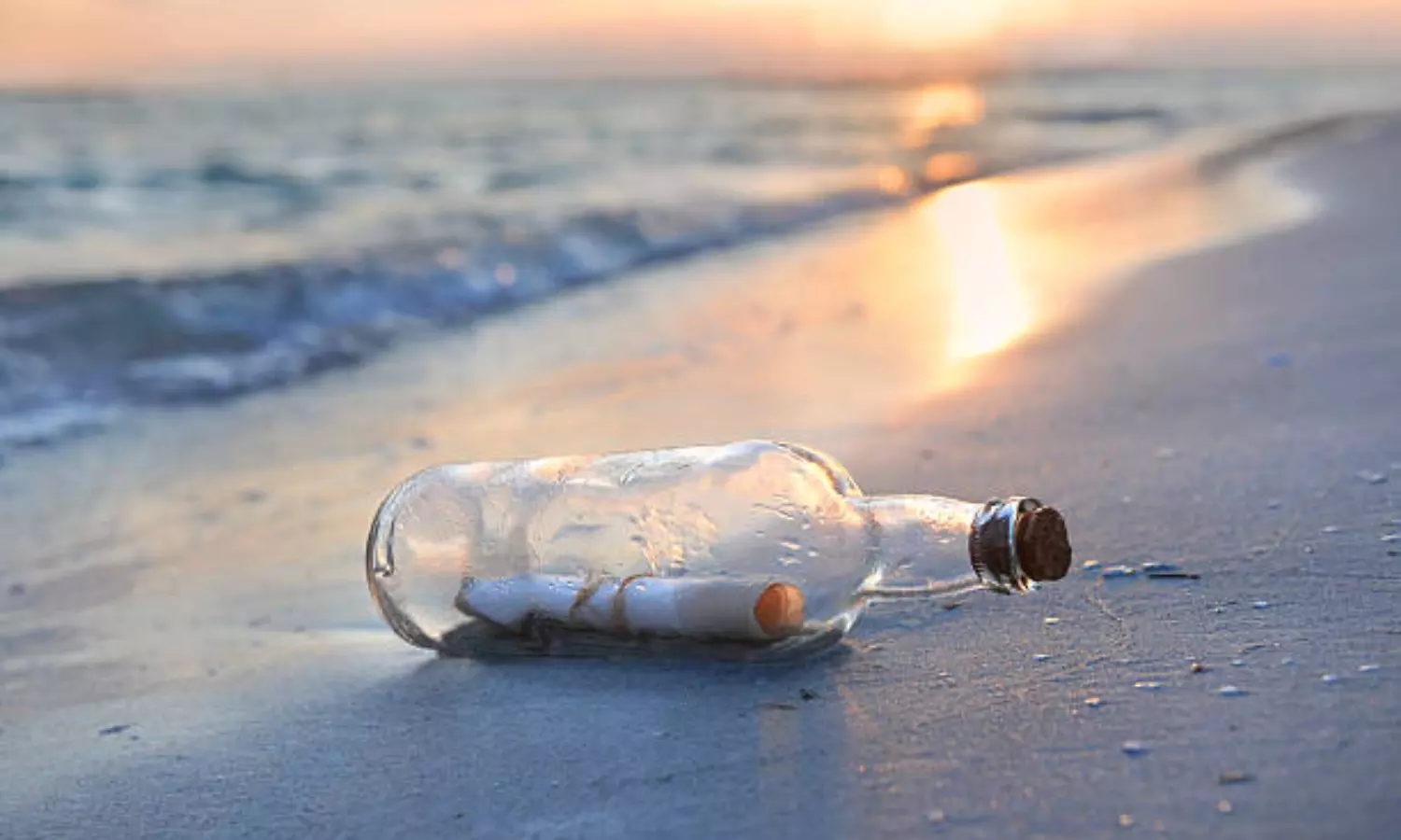 37-year-old message in a bottle from Japan washes ashore on Hawaiian beach