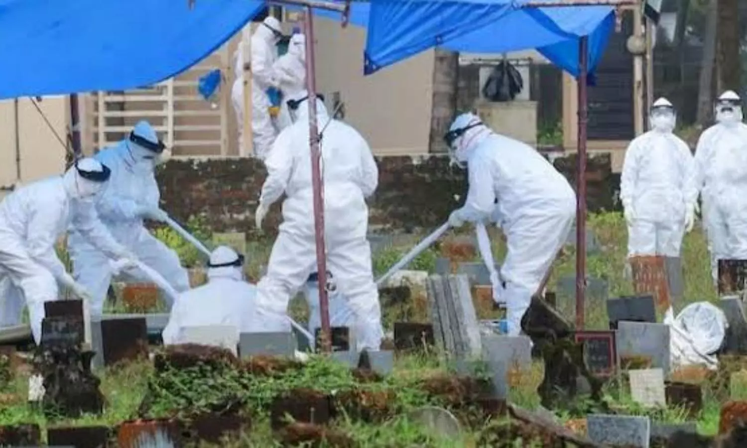 PETA urges Kerala govt to shut pig farms to prevent Nipah epidemic