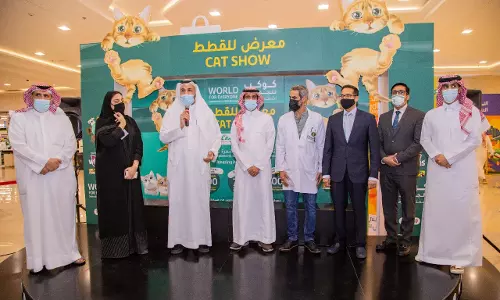 LuLu extends support to animals with an exclusive CAT SHOW on World Animal Day