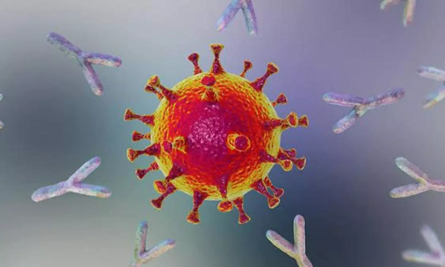 Elderly patients develop more Covid-19 antibodies than younger ones: Study