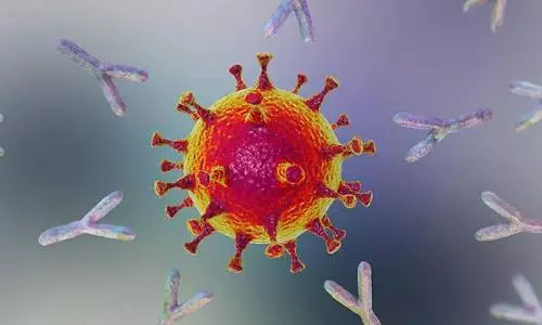 Elderly patients develop more Covid-19 antibodies than younger ones: Study