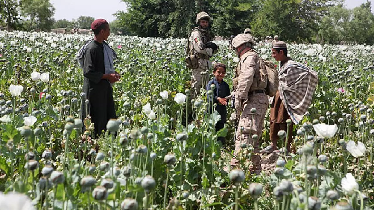 No more black films in vehicle windows: Afghanistans Badakhshan gear up to curb crimes