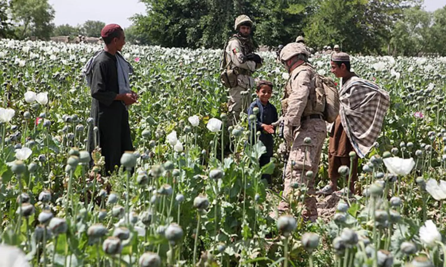 No more black films in vehicle windows: Afghanistans Badakhshan gear up to curb crimes