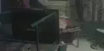 Kashmiri students attacked in Punjab as India loses to Pak in T20 WC