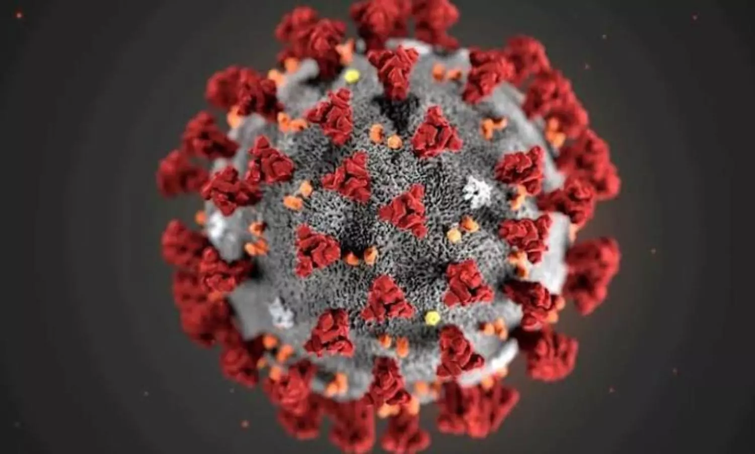 US intelligence wont likely determine COVID-19 origins, report says