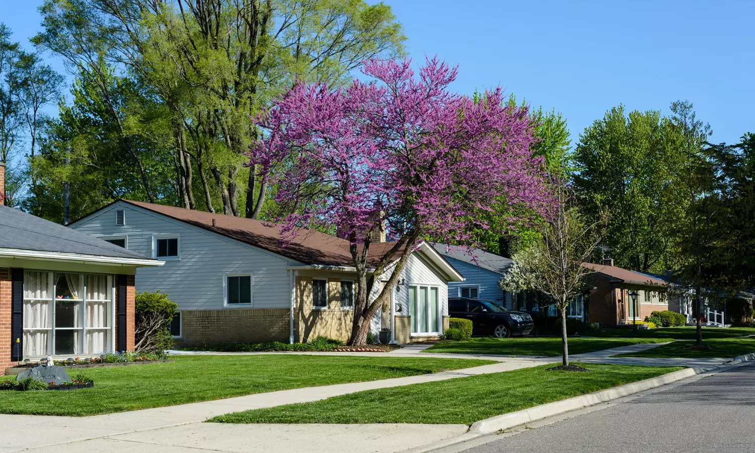 Detroit suburb to elect its first Arab-American mayor
