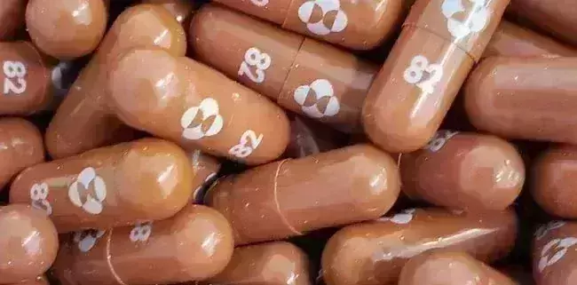 UK becomes first country to authorise Mercks antiviral Covid pill