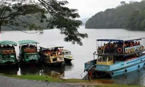 Kerala govt stays order to cut trees at Mullaperiyar dam