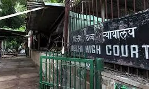 Delhi HC ask Centres opinion in criminalization of marital rape