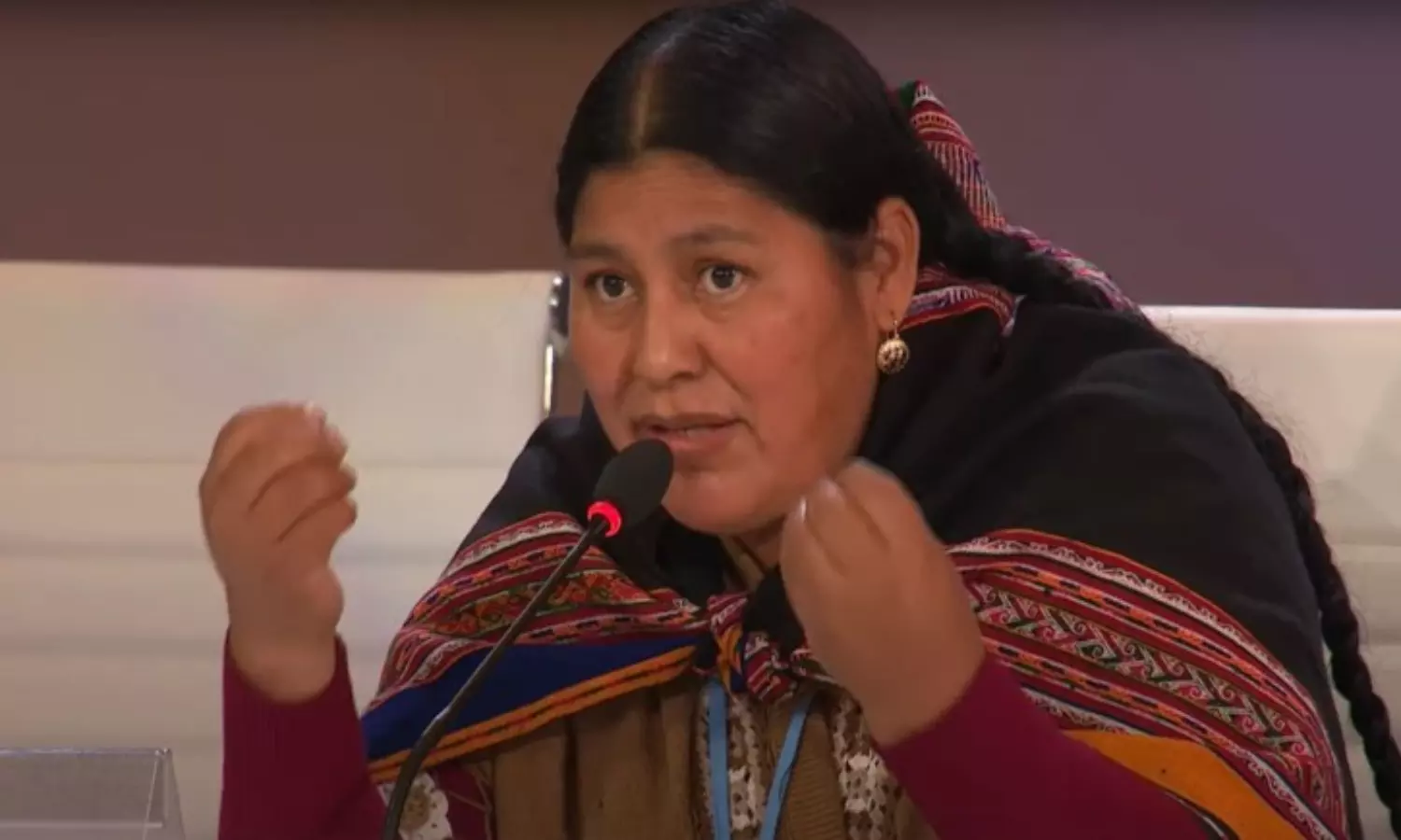 A world designed by men destroyed natural equilibrium: Angelica Ponce