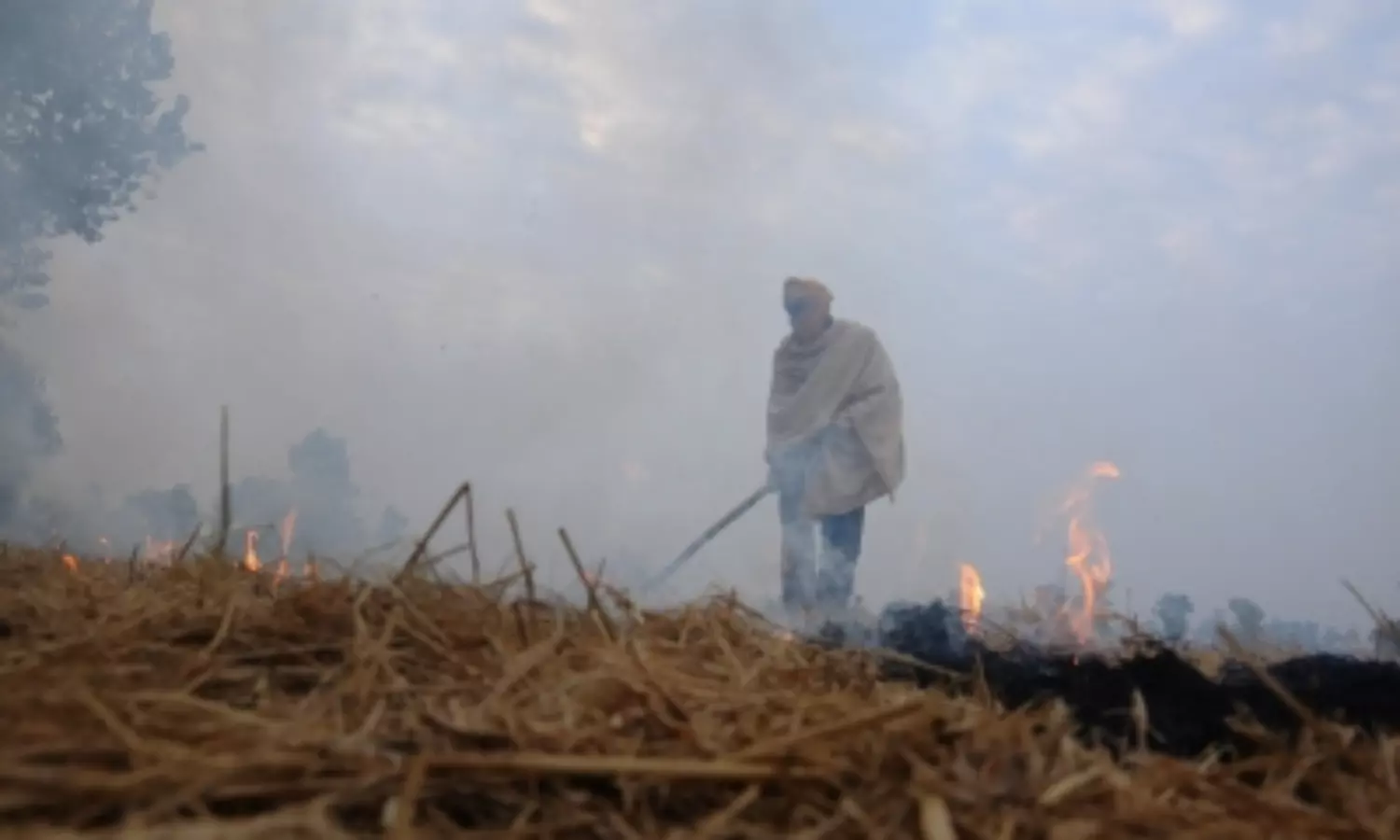 Stop blaming farmers for air pollution in the city: SC to Delhi gov