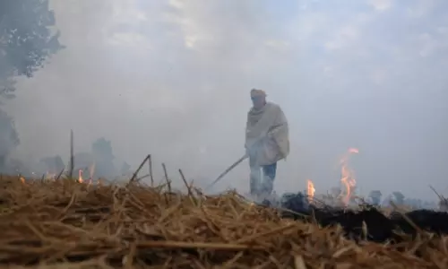 Stop blaming farmers for air pollution in the city: SC to Delhi gov