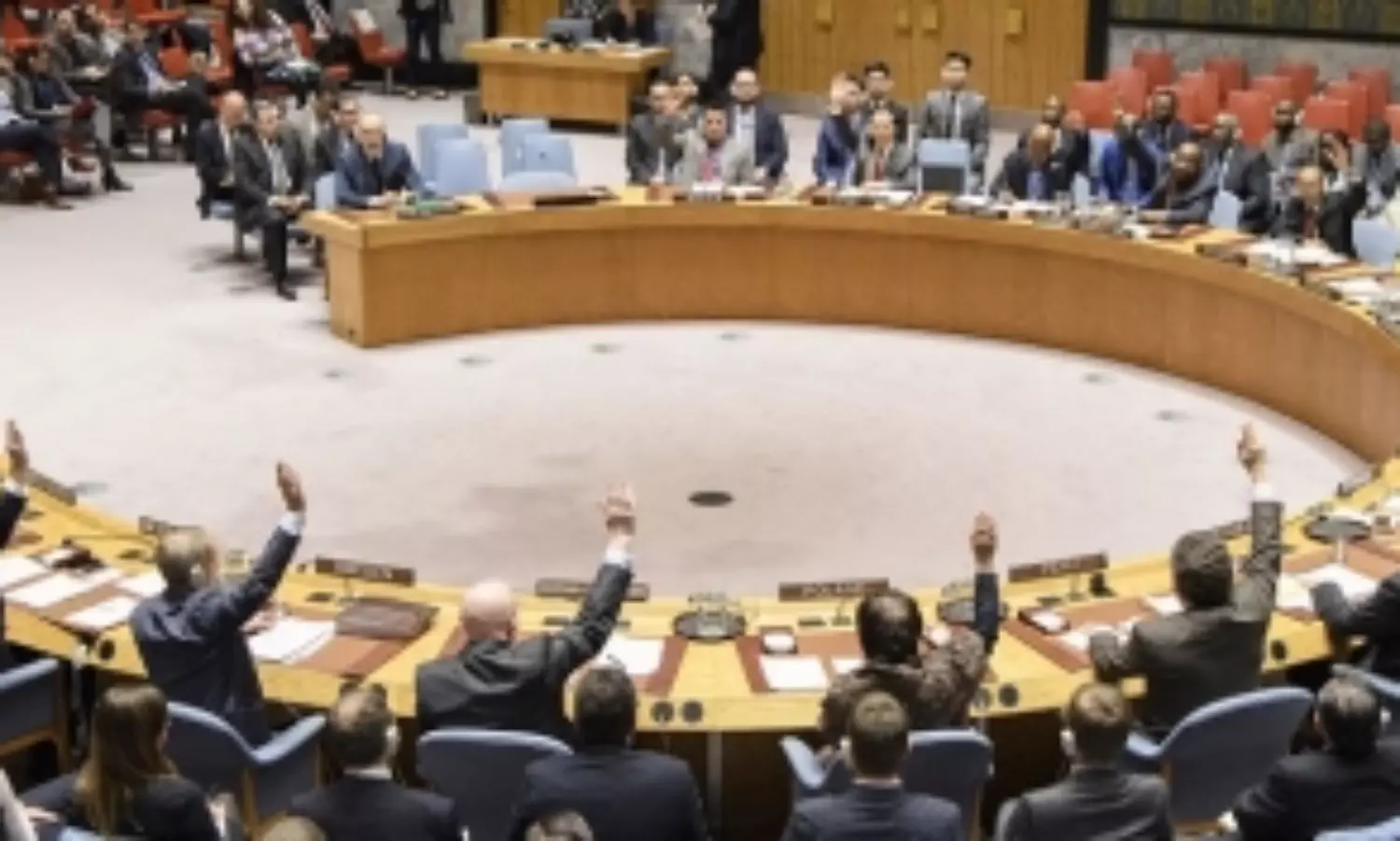 More permanent members in UNSC might lead to paralysis, says Pak