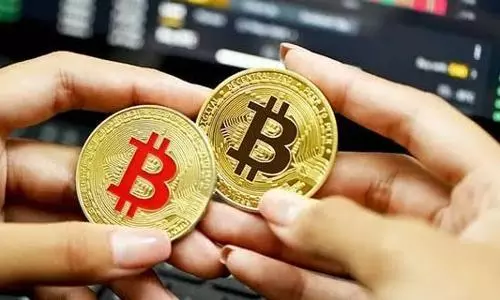 Crypto prices crash after govt plans law on banning private players