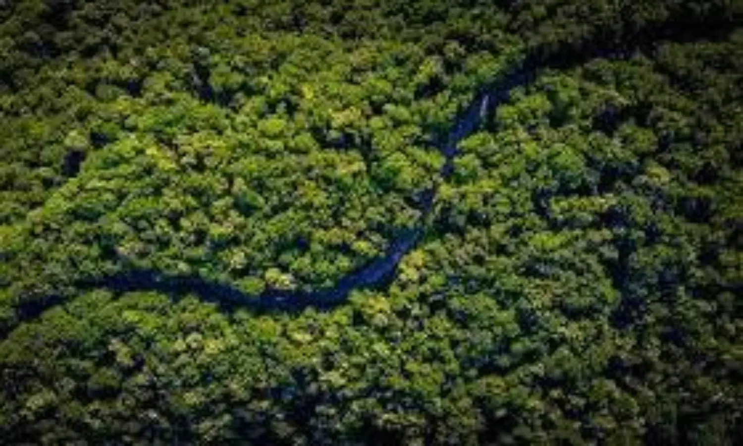 Fast fashion brands  destructive contributors to the environment reveals latest research