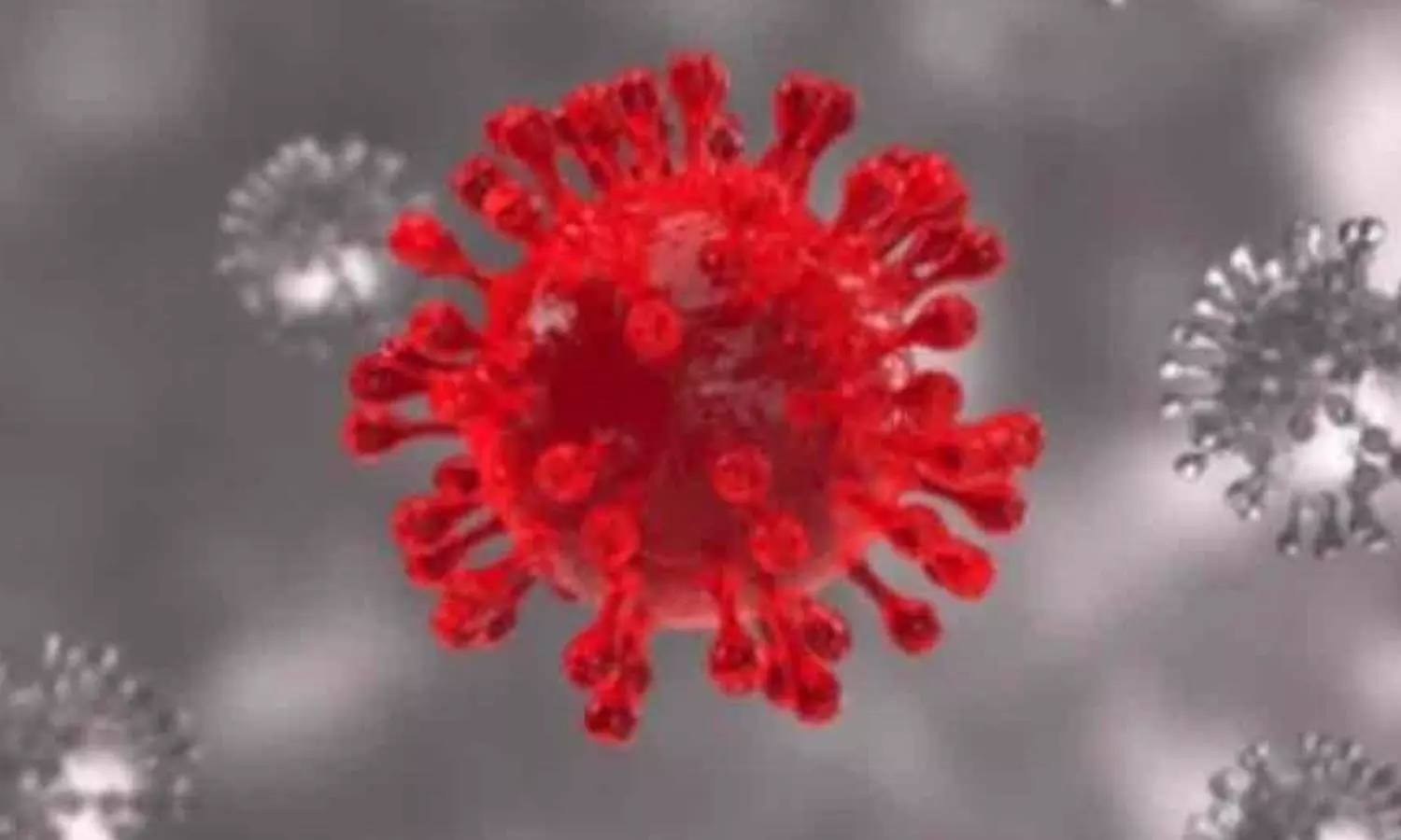 10 South African nationals missing worries Ktaka Govt amid Omicron scare